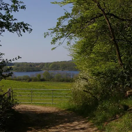 Witt Am See - #38545 Appartement Boklund